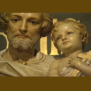 #stjosephprotector